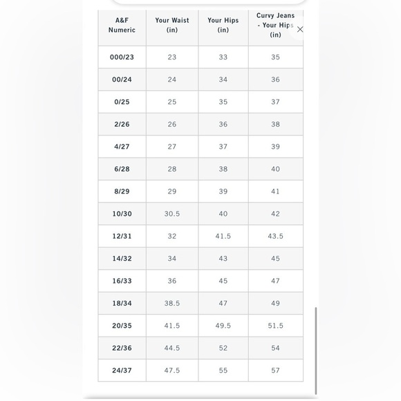 Abercrombie & Fitch Size 24 (37 in waist) The 90's Relaxed High Rise Jeans - Picture 14 of 14